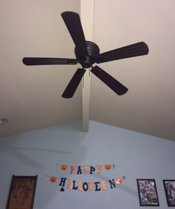 Living Room Light Fan Situation